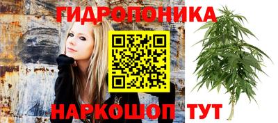 гашишное масло Аша