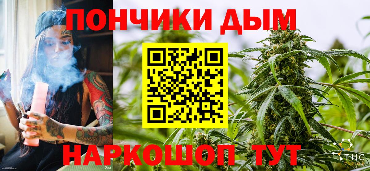 Шишки марихуана конопля Котельники